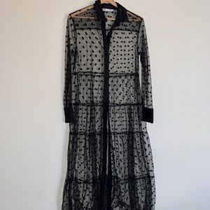 Zara Sheer polka dot dress